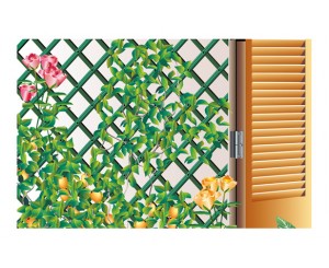 CELOSIA EXTENSIBLE PLASTICO TRELLIS 1x2 VERDE 