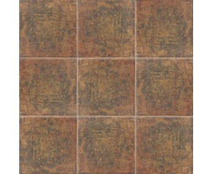 BOLONIA COTTO 20x20