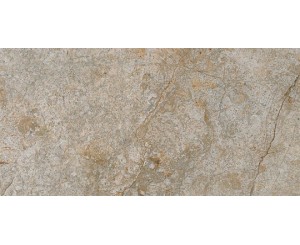 ARAGON ROCKS GRIS C-3 30x60