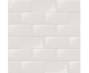 VITTA-10 MARFIL 10x20