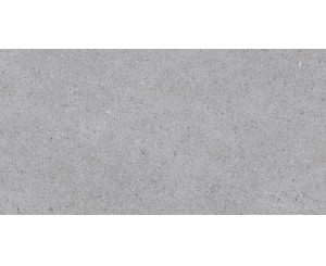 SASSI GRIS 32x62.5