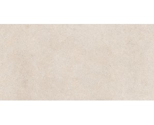 SASSI BEIGE 60x120