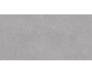 SASSI GRIS 60x120