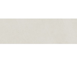1215 WHITE RECT. 40x120