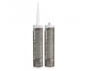 SILICONE COLOR 36 310ML