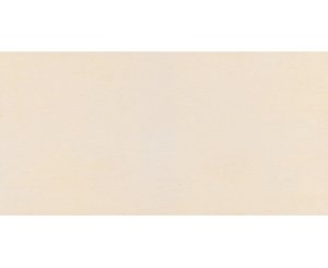 ROMA NACAR MATE 45x90