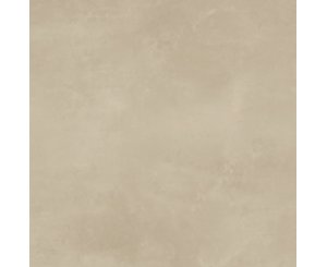 1800 ARENA RECT. 100x100