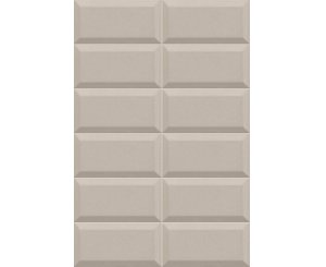 BISSEL GRIS PLATA 10x20