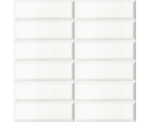 BISSEL BLANCO MATE 10x30