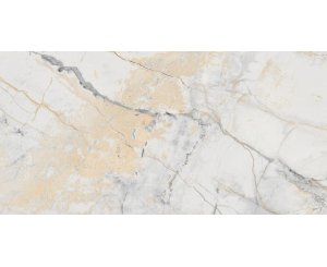 ERDEK-R PULIDO 59.3x119.3