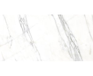 VERBIER-R PULIDO 59.3x119.3