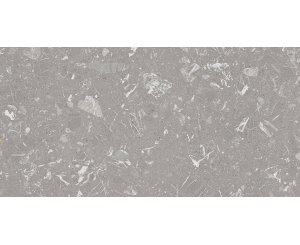 LUNA-R GRIS PULIDO 59.3x119.3