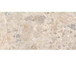 ETERNA MIX MULTICOLOR RECTIFICADO 60x120