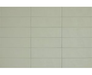 CHROMA LICHEN GREEN MATE 8.6x26.2x0.9