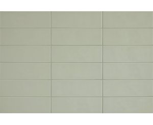 CHROMA LICHEN GREEN MATE 8.6x26.2x0.9