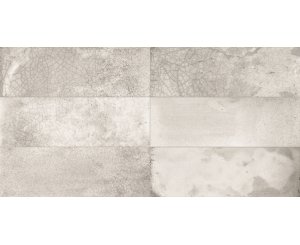 FS RAKU SILVER 20x40