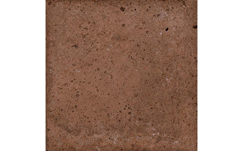 ROOT BOLD 13x13