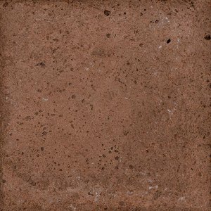 ROOT BOLD 13x13