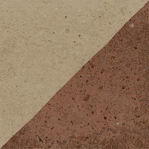 ENDO BOLD 13x13