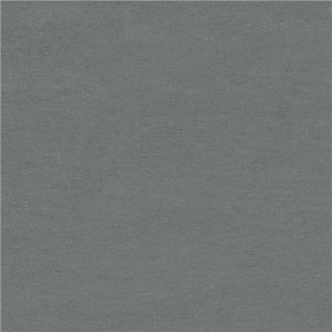 DAMA GRAPHITE NATURAL MATE RECT. 100x100
