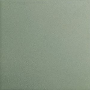 BITS SQUARE KALE MATT C2 11.6x11.6