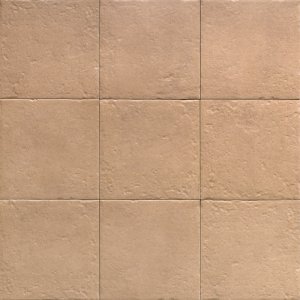 CANEM SEASON C2 20x20