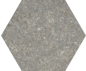 TIBET OLIVE HEX C2 15x17.3