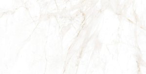 SPIDER GOLD NATURAL 32x62.5