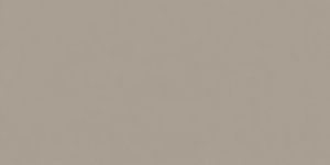 INDUSTRIAL CINZA CLARO NATURAL 11.7x24x1.2