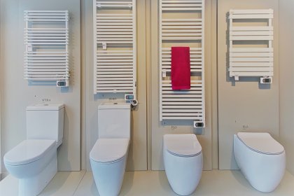 WC and Towel racks