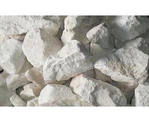 Lime-Cast-Plaster