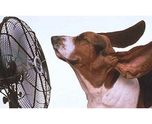 Air Conditioning