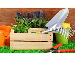 Gardening