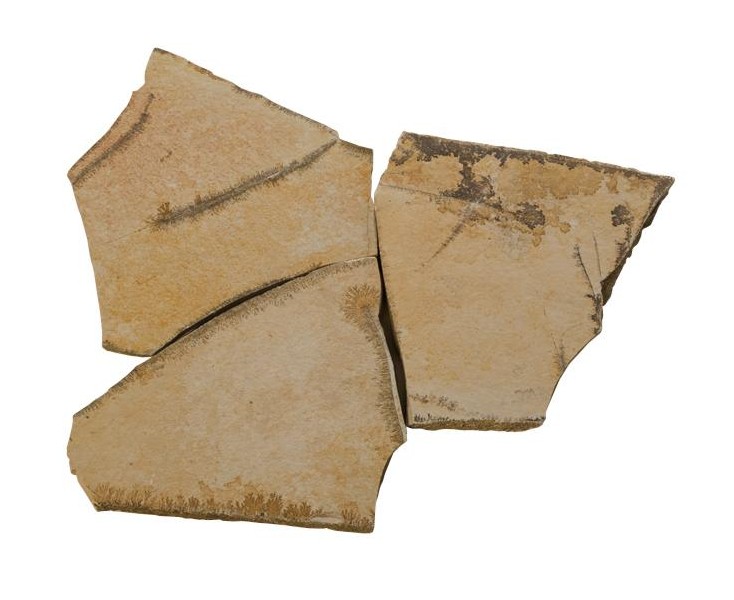 Solnhofen GERMANY STONE 4/5 cm.