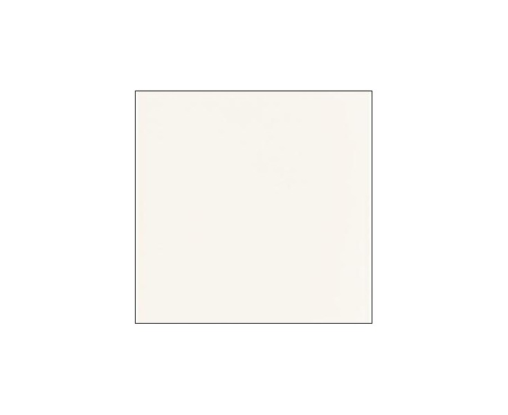 BRIGHT WHITE 20x20 SNOW 