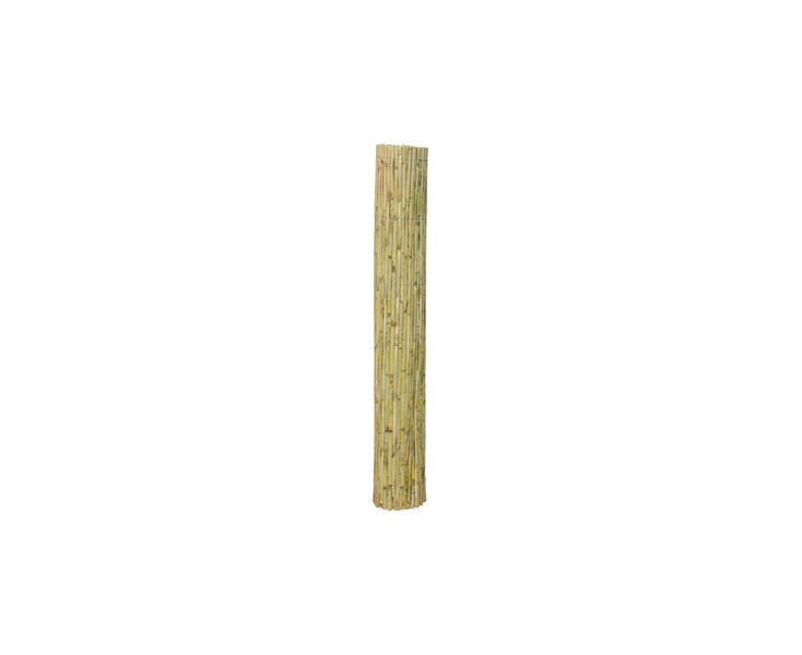 CAÑIZO 1.50m. ROLL 5mts 