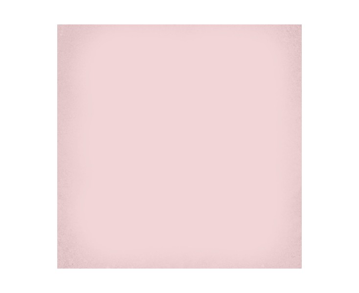 1900 ROSA 20x20