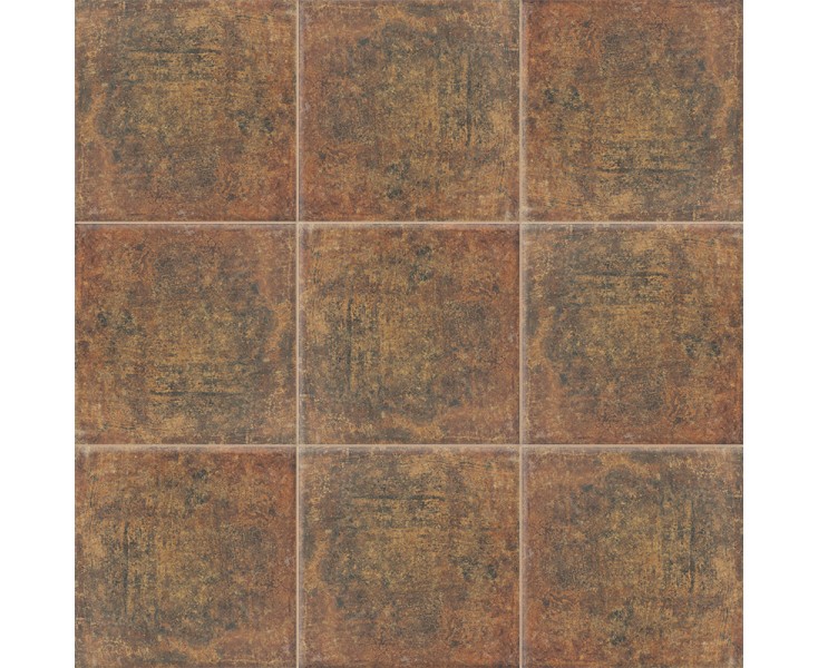 BOLOGNA COTTO 20x20