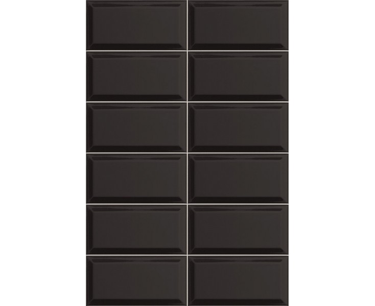 BISSEL BLACK 10x20