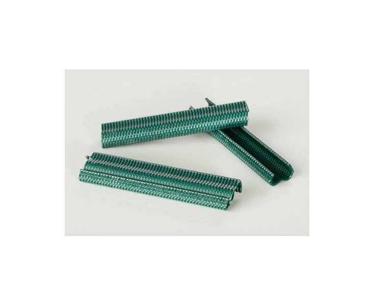 GREEN BLISTER 1000UD MESH STAPLE