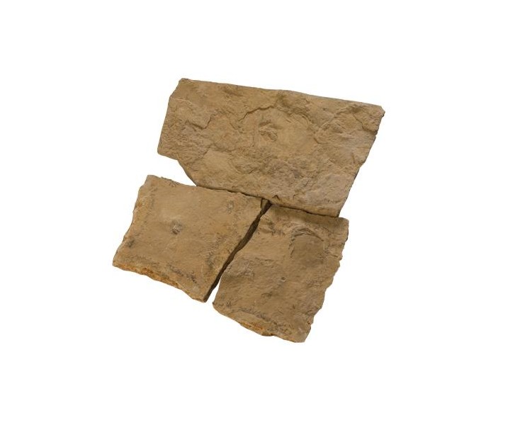 FOSSIL ROOTS STONE