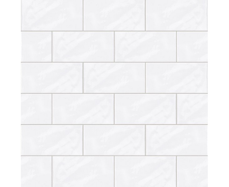 VITTA-10 WHITE 10x20