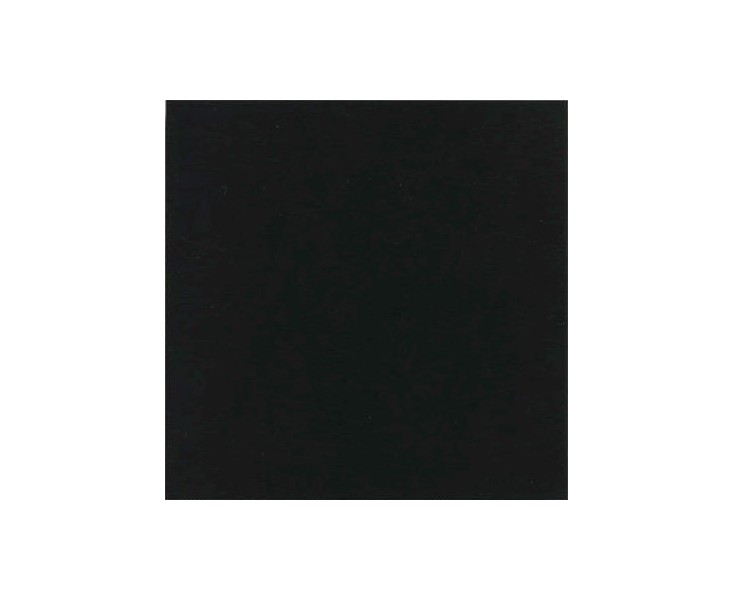 BLACK MONOCOLOR 31.6x31.6