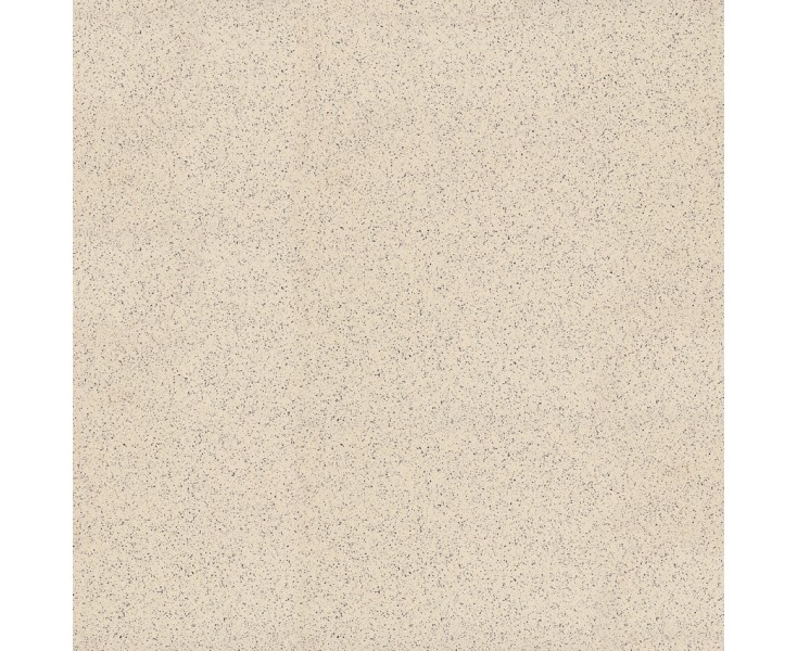 RIOS SEGRE POLISHED 60x60