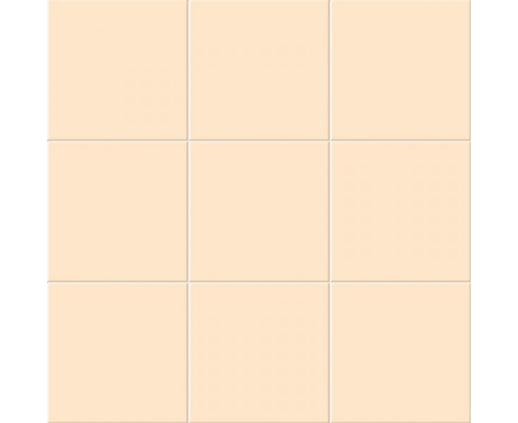 NACAR MATE 20x20