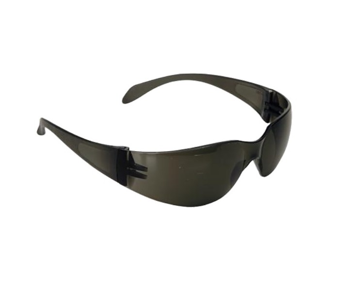 CLIMAX PROTECTION GLASSES 590-G GRAY OFFER  