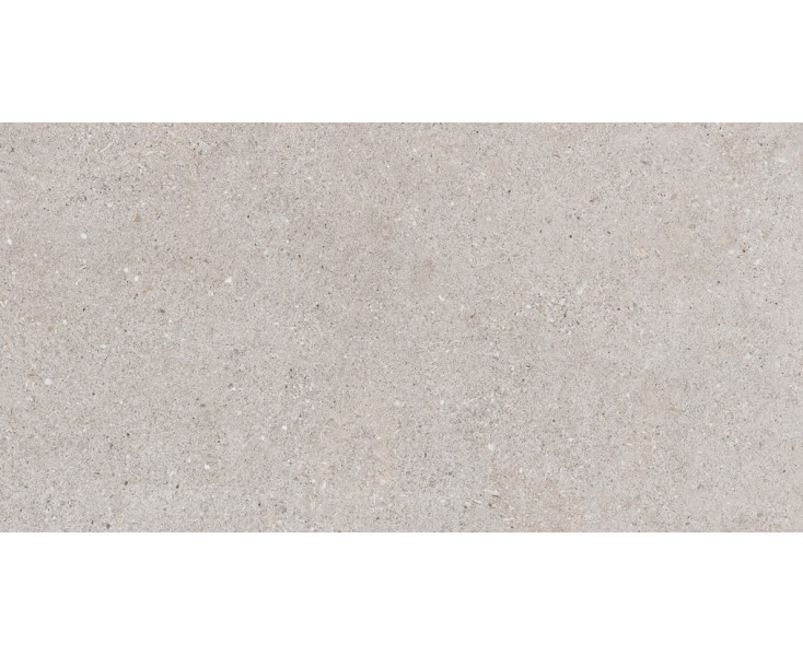 SASSI ARENA 32x62.5  