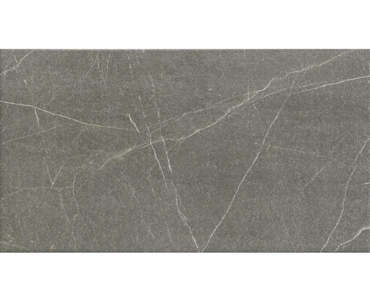 GRAY MUSE 31x56  