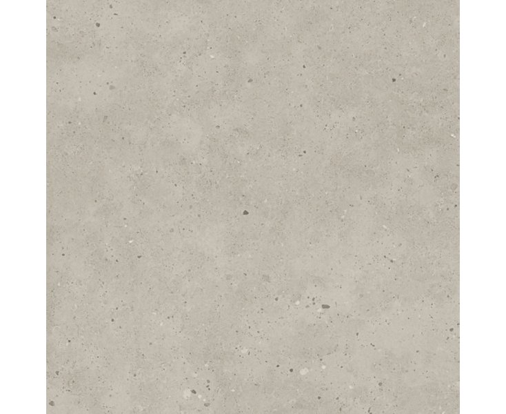 1813 GRIS RECT. 100x100