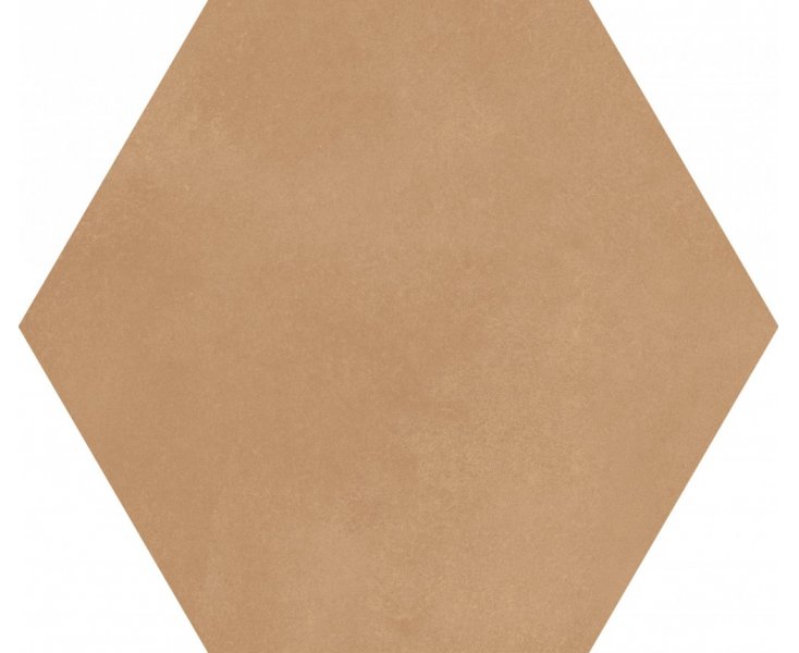 BERLIN EXA TERRA MATT C2 21.5x25